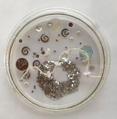 Pilar Pedroza. Organelos Semisintéticos.