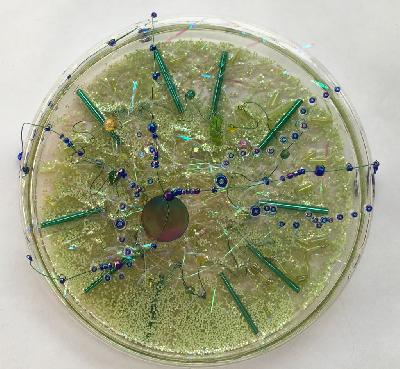 Pilar Pedroza. Repulsion electromagnética.