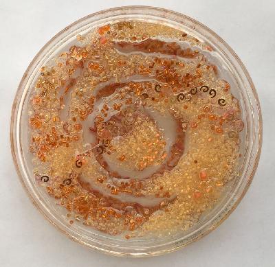 Pilar Pedroza. Micro Quasar.