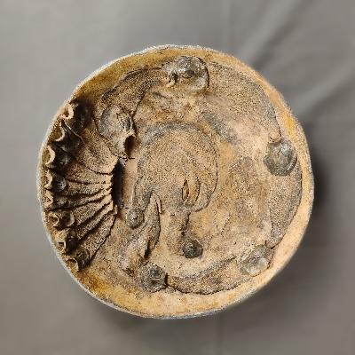 Alejandro Colunga. Plato de cerámica